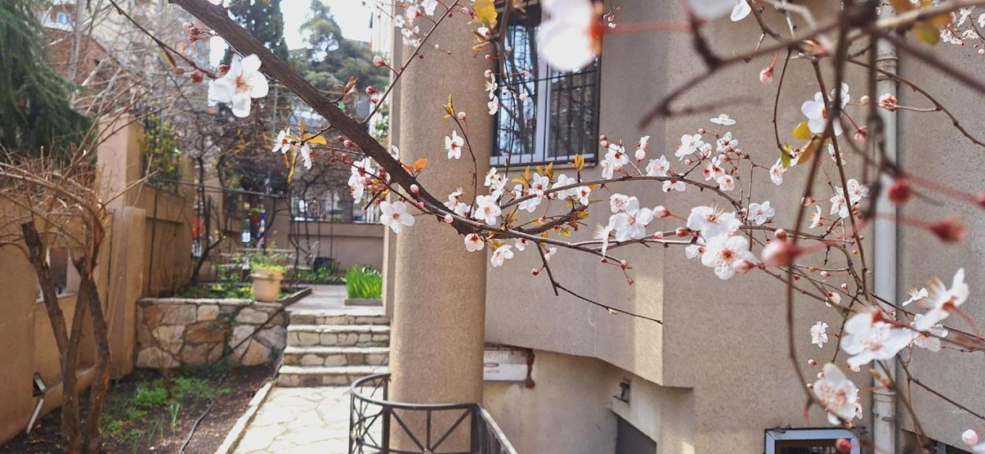 Iliani Hotel Tbilisi Eksteriør bilde