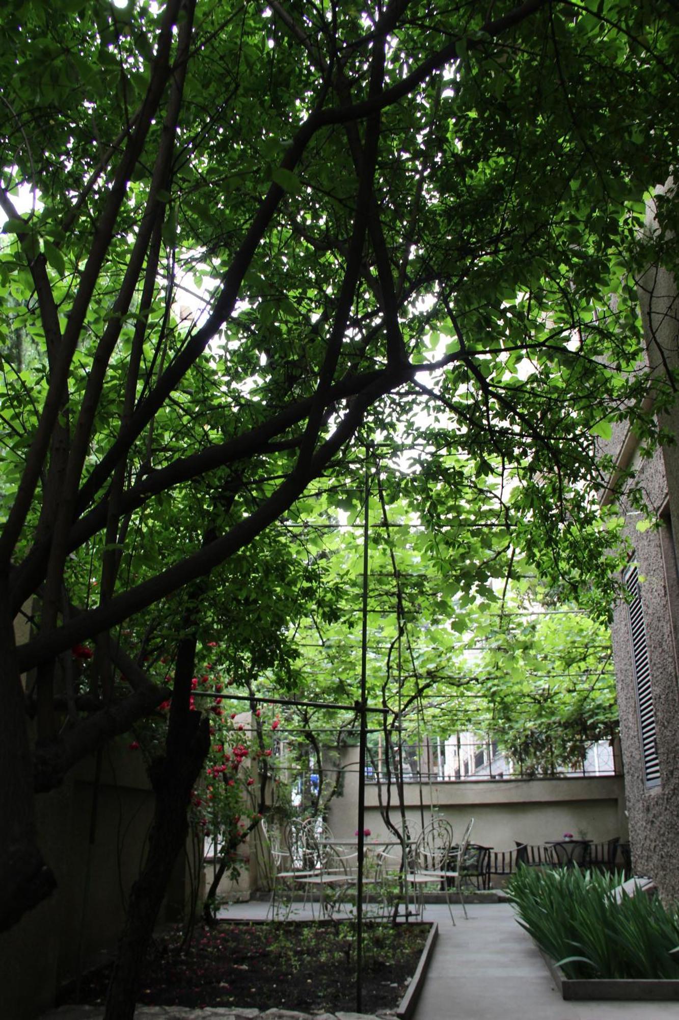 Iliani Hotel Tbilisi Eksteriør bilde
